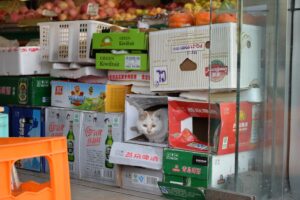 中国語を学ぶ受講者 仙崎知子さん